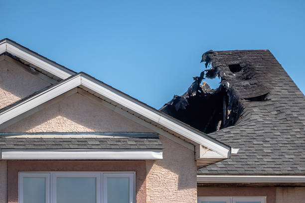 Top rated local Fire Damage Removal specialists in Fountainville, PA
